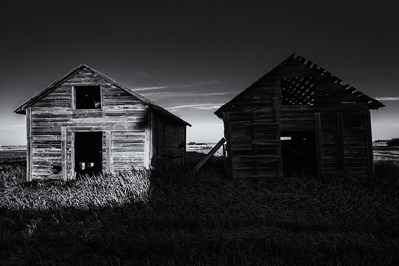 Sometimes Photographers Say Things Like "Look at the Light and Shadow"