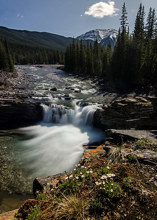 Sheep River