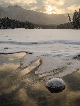 Ice Curls