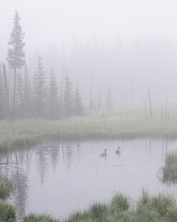 Canadian Serenity