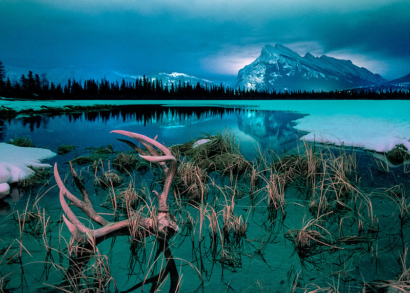 Life & Death in the Mountains