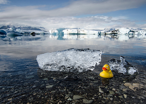 Rubber Ducky would curse at the photographer for bringing him to such a cold place, but Rubber Ducky can't pronounce Jök... Jökul...Jökulsá...Jökulsárlón Lagoon.