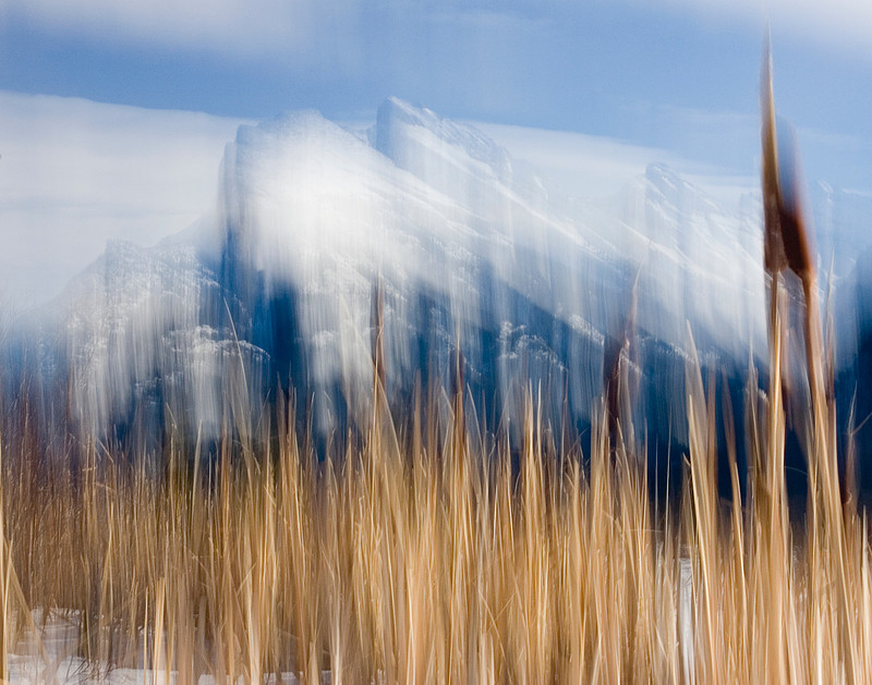 Through the Reeds