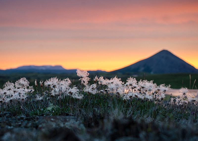 3 am is a Beautiful Time to be Alive in Iceland
