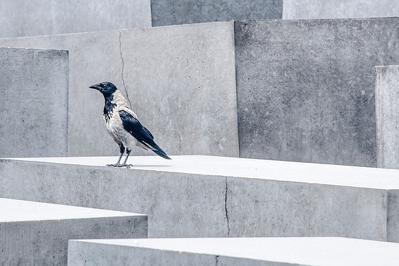 Berlin Memorial