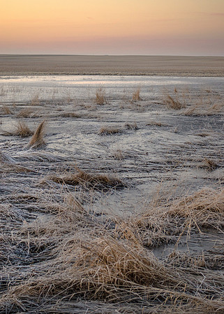 Expanse