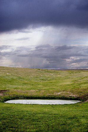 Prairie Simplicity III