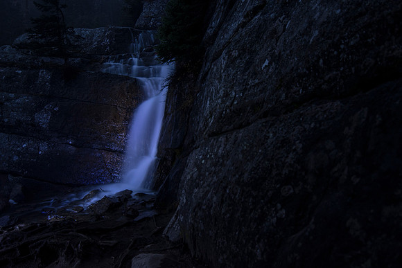 Out of the Dark