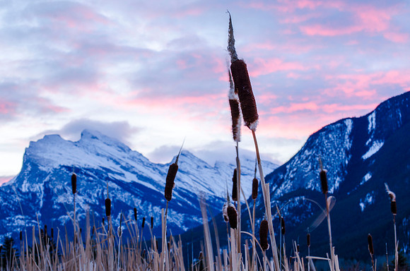 Vermillion Sunrise