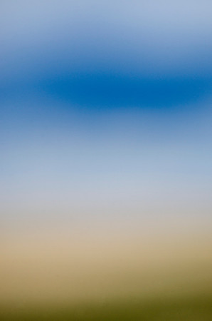 Prairie Gradient