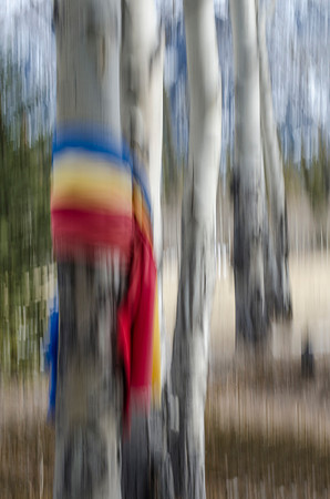 Vision Quest I