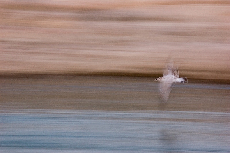 In Flight
