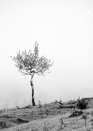 One