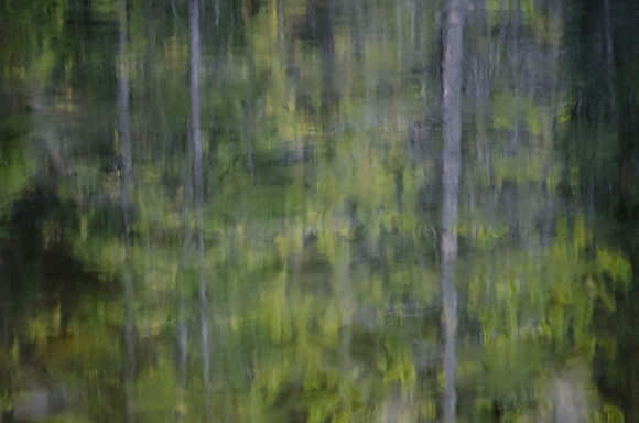 Lakeshore