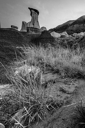 Hoodoos