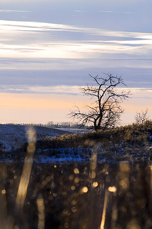 Sunrise on the Ranch