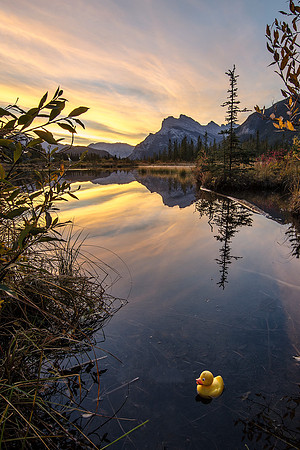 Rubber Ducky can't believe the photographer considered leaving him here
