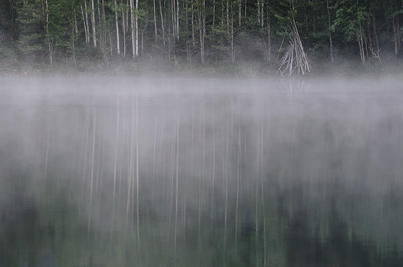 Solitude at its Finest