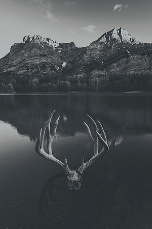 Ancient