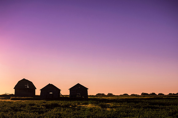 Pastel Dawn