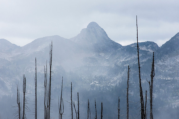 Mt Revelstoke